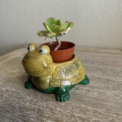 New Flower Pot Made Out Of Cement 