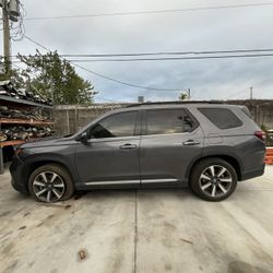 Pilot Parts 2023 2024 2025