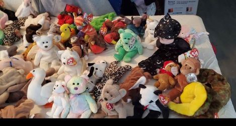 Brand New Lots And Lots Of Beanie Babies With Tags ( Never Used )    .