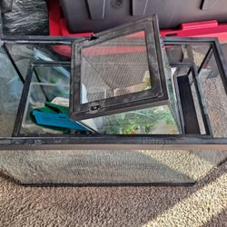 20, 10, And 2 Gallons Tanks And Some Decoration