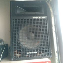 Digital Pro Audio 15inch