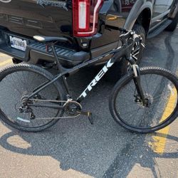 Marlin 4 Large 29”