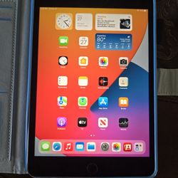 Ipad Mini 4 