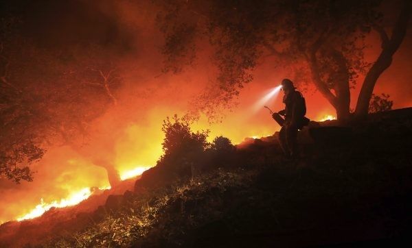 Brush Clearing, Cutting Fire Line