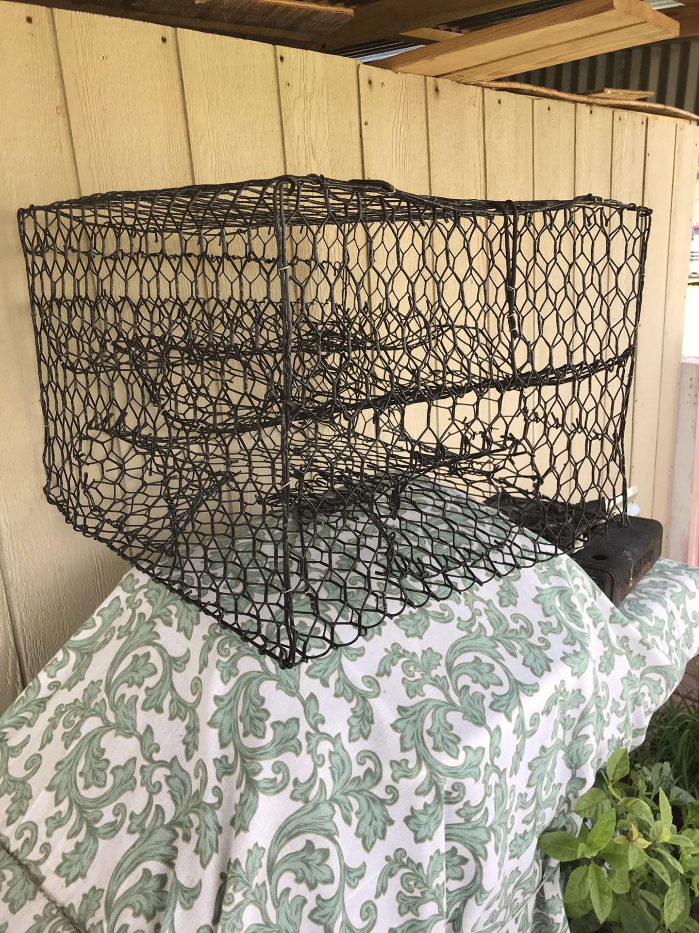 Crab trap