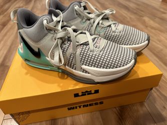Nike Lebron Witness Vll