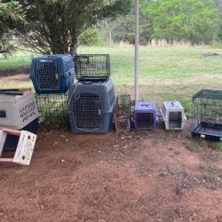 Dog Kennels And A Crate Amd Bird Cage