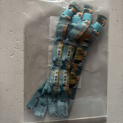 2026 STAGECOACH RV WRISTBANDS