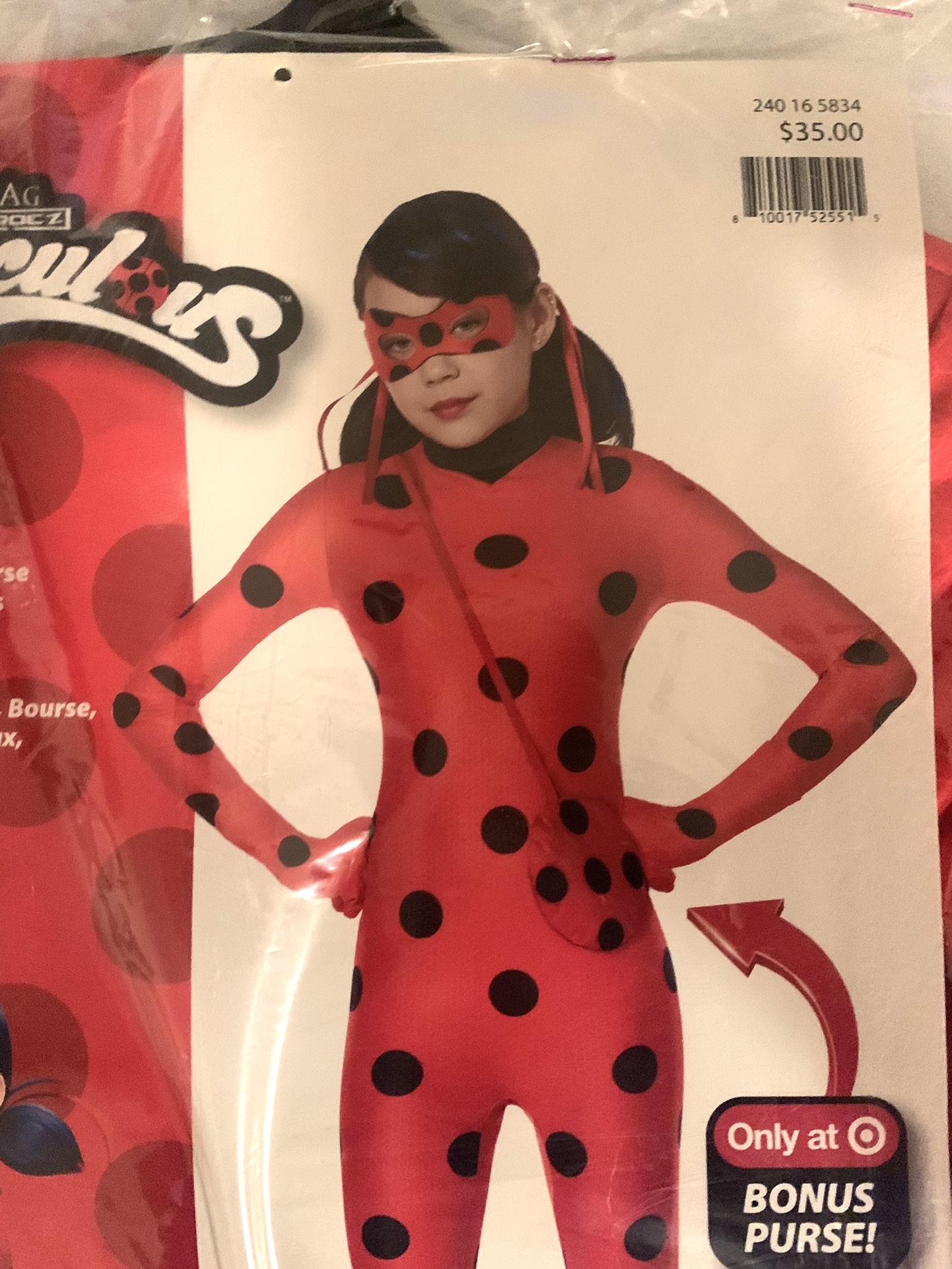 Ladybug Halloween Costume 