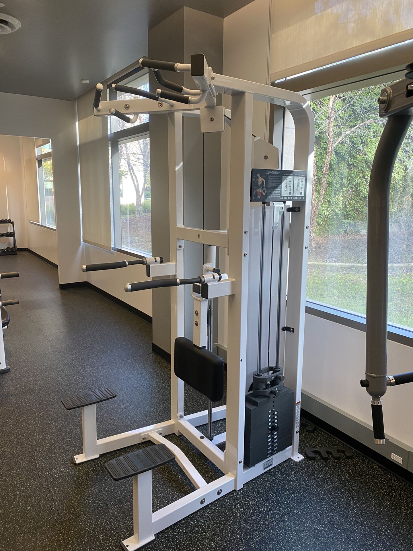 Life Fitness Pro 2 Assisted Pull Up And Dip Chin Machine, Commercial Gym Equipment