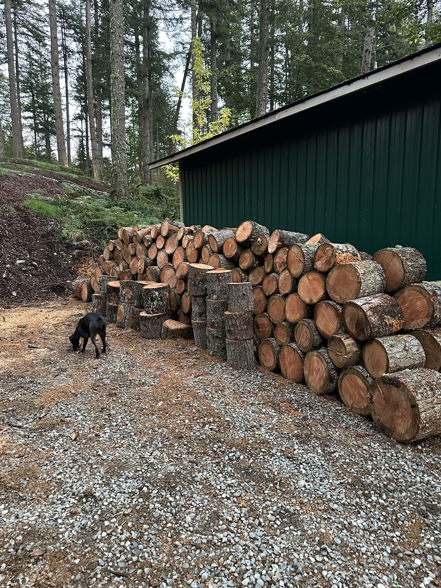 Firewood