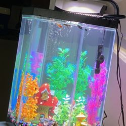 Fish Tank Full Set Up 