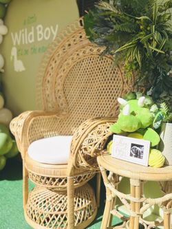 Peacock Chair /set Ups