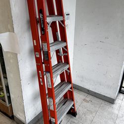 Louisville 6ft Twin Ladder 
