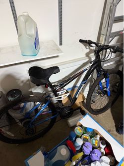 Mongoose bike