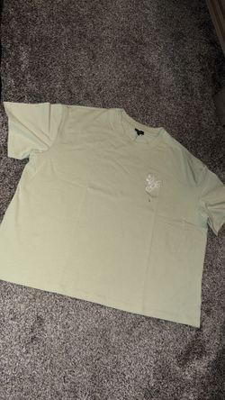 $40 Express XL Oversize Cropped Shirt
