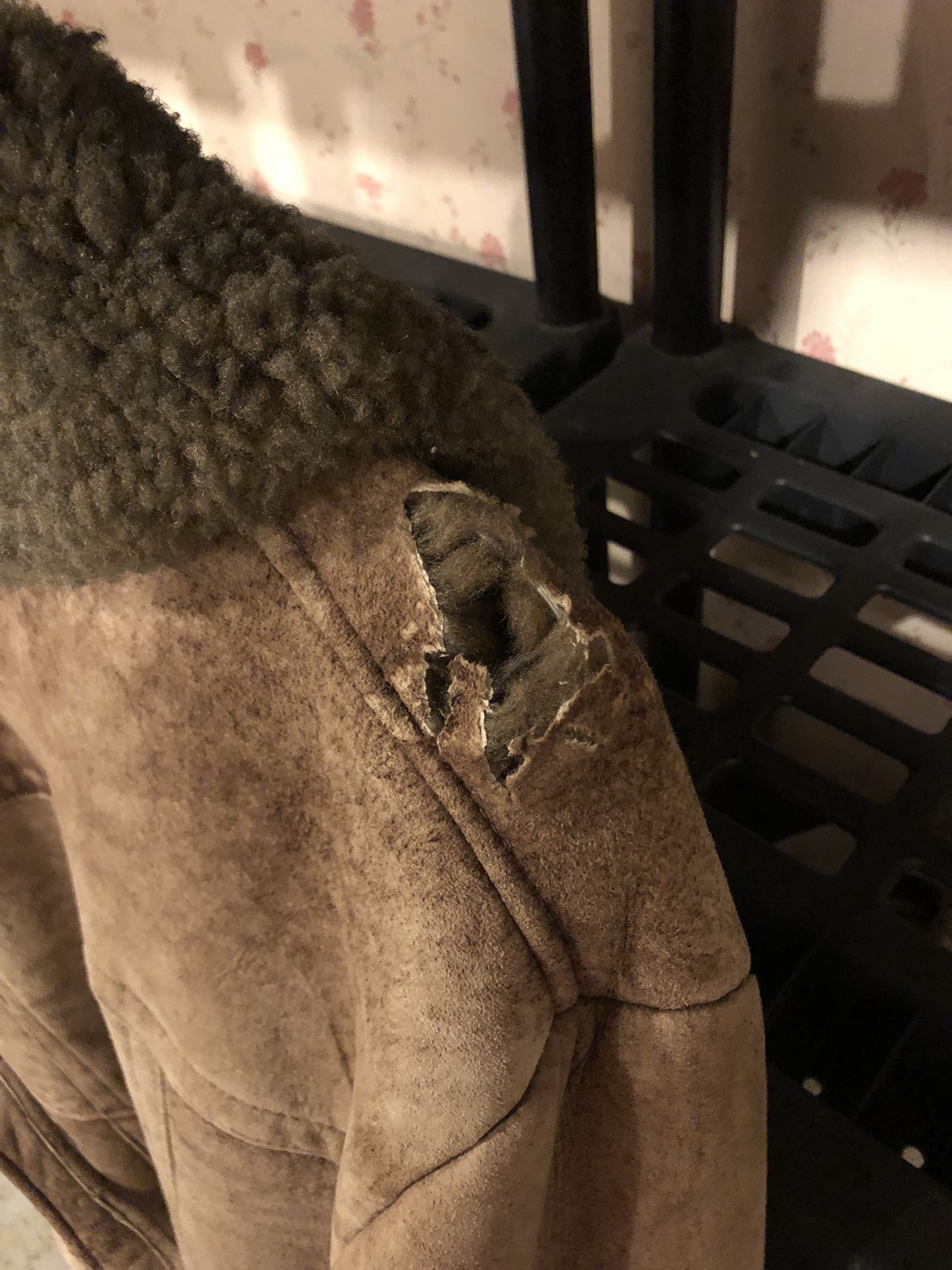 Coat