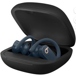 Beats Powerbeats Pro Wireless Earbuds