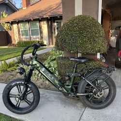 Freesky Rocky Step-Thru E-bike 750W
