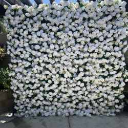 Flower Wall