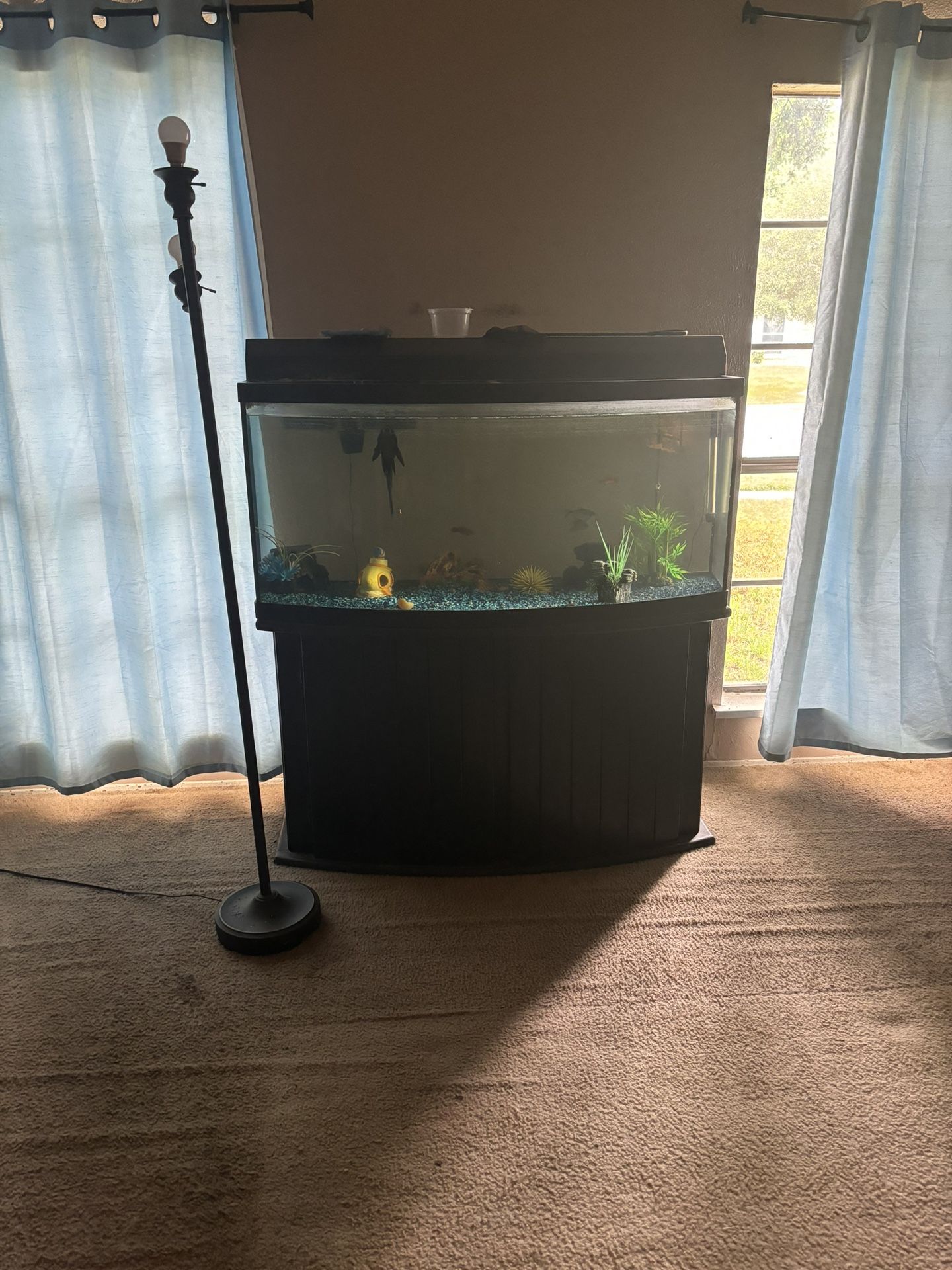 250 Gallon Fish Tank 