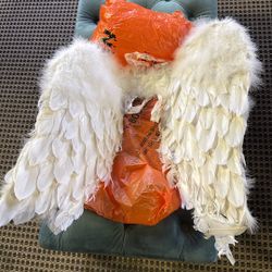 Halloween Angel Wings