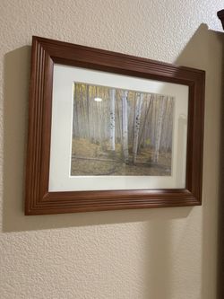 Aspens In The Dixie Picture