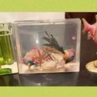 3-PC BATHROOM DECOR - ALL FOR $15