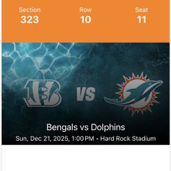 Dolphins Vs Bengals 