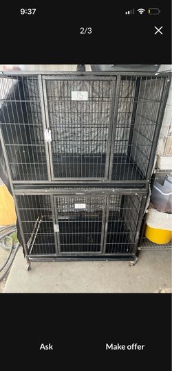 Free pug