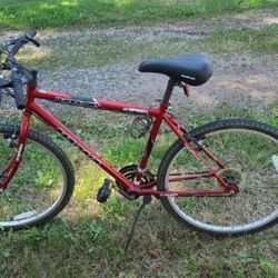 NICE MAGNA BIKE