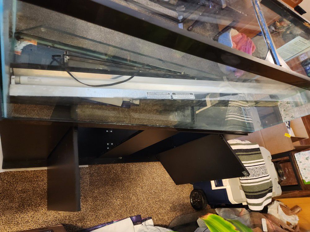 55 Gallon Fish Tank And Stand