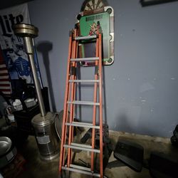 Werner 16ft Ladder 