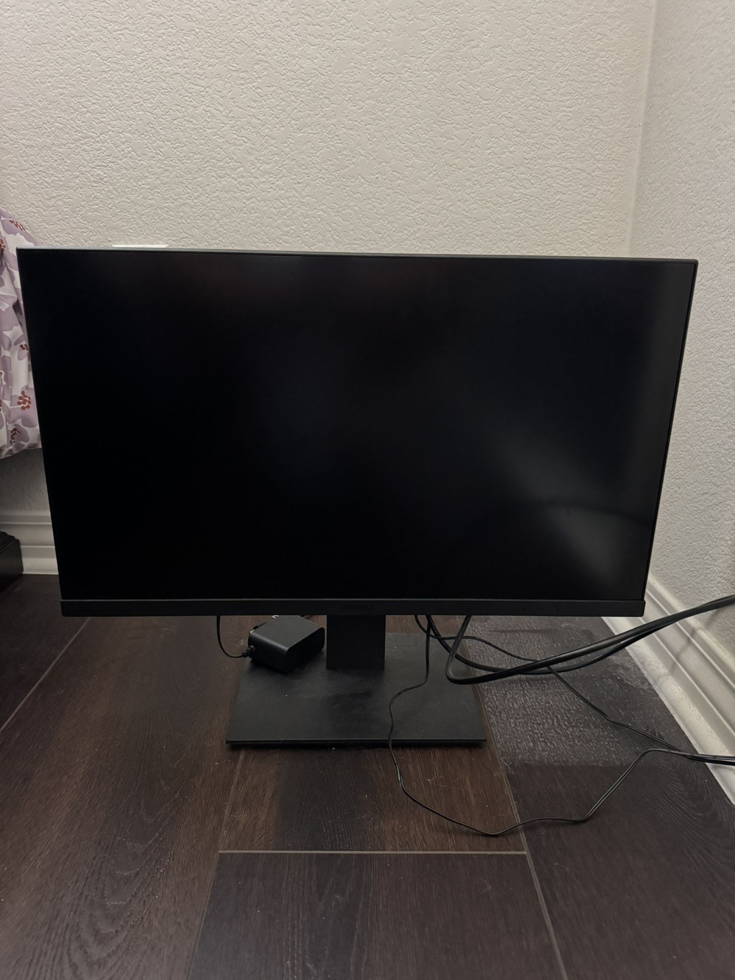 Computer Monitor