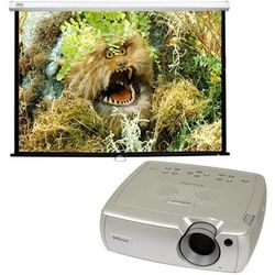 Video Projector + Screen