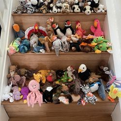 Museum Quality Beanie Baby Collection