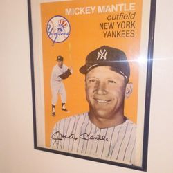 Large Baseball Cards