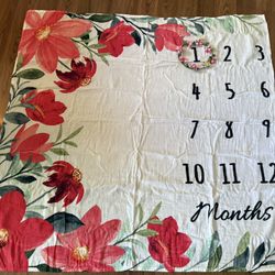 Baby Girl Milestone Blanket and Items