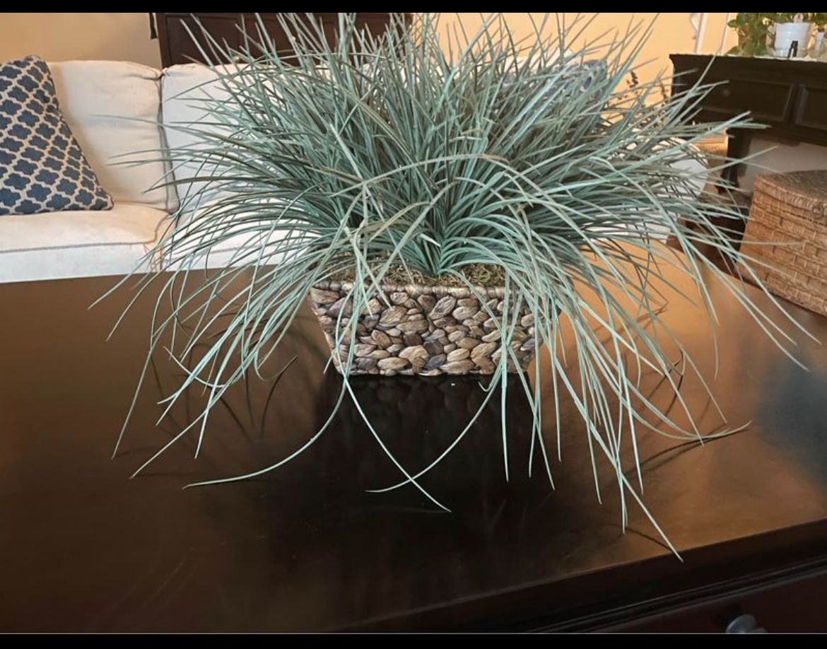 Faux/Fake Plant. 