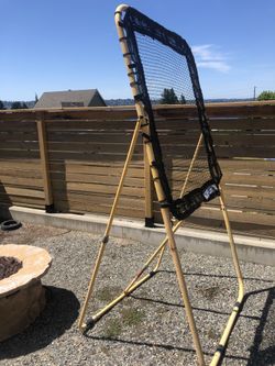 Ball rebounder