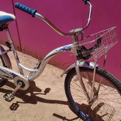 Trek Bike