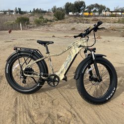 Electric Bike: Young Electric Escout Pro