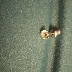 Small Real Diamond Earring One Fell Out Of The Setting Have The Setting And The Backing