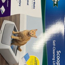 Cat Litter Box