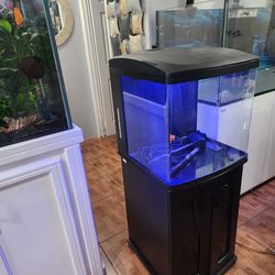 Fish Tank Biocube 32 Gl 