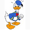 Ducking awesome