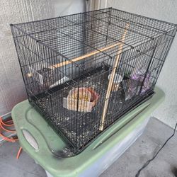 Bird Cage