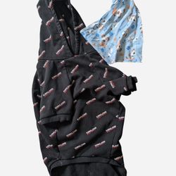Dog hoodie & bandana