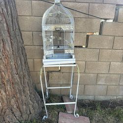 Bird Cage