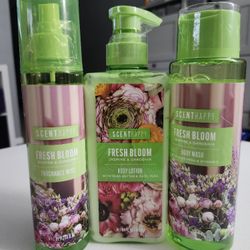 Women's Lotion Spray & Body Wash Bundle